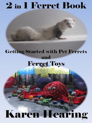 cover image of 2 in 1 Ferret Book